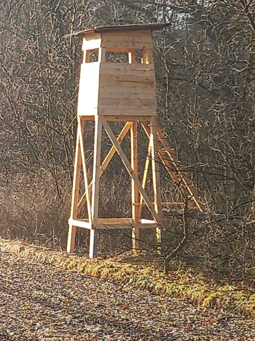 Ambona myśliwska
