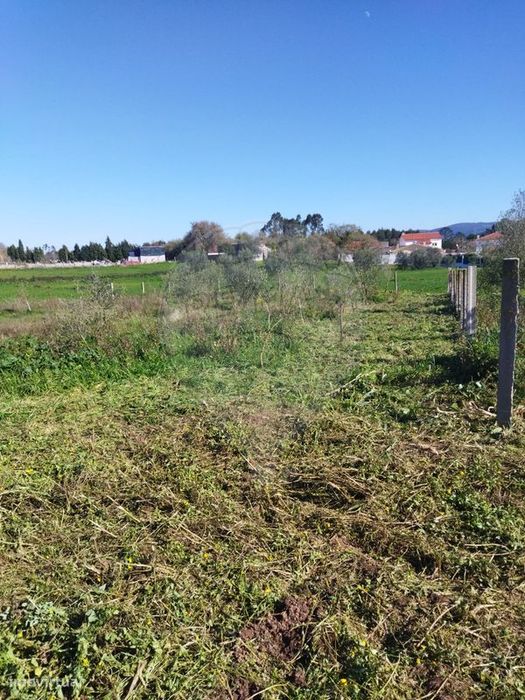 Terreno  para venda