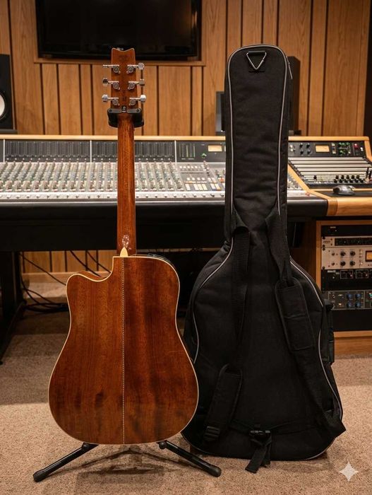 Pack Washburn D10SCE + Gigbag Premium Ibanez  (Como Novos)
