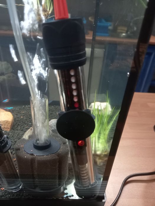 Aquecedor para Aquario como Novo