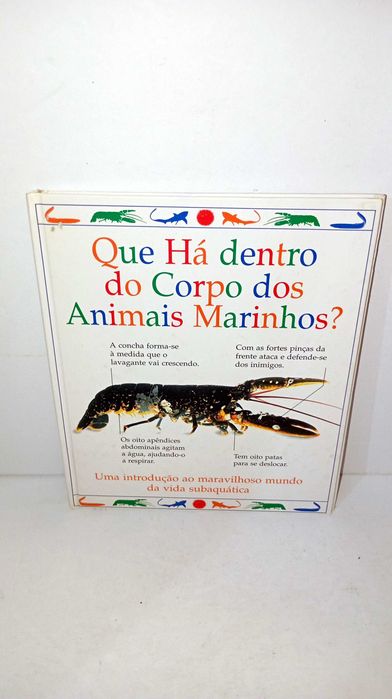 What Is Inside the Bodies of Marine Animals?