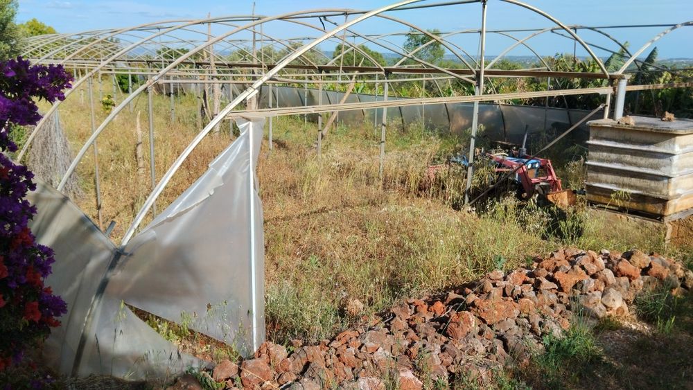 Estufa metálica 660m2 galvanizado