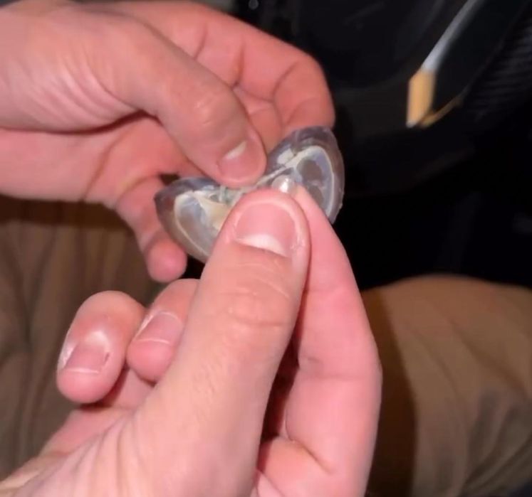 Colar de prata com pingente   de perola