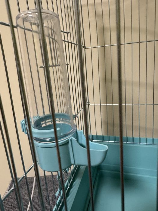 Простора клітка для папужки