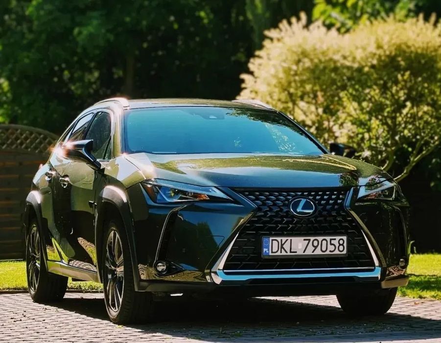 Lexus UX Lexus UX200 Business, 2.0 173KM Nori Green, polski salon