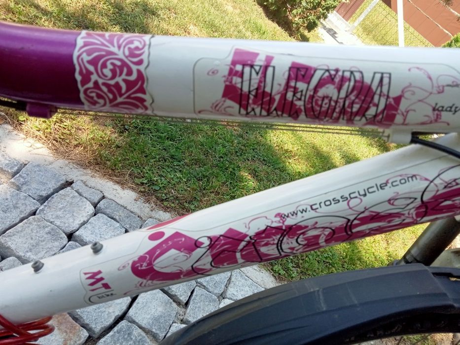 Rower 26  Elegra +drugi  Gratis + kosiarka Briggs&Straton Gratis