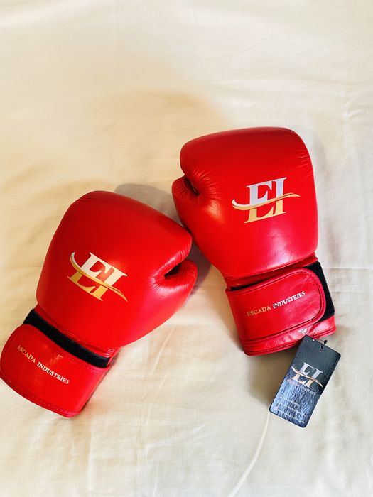 Luvas de boxe (importadas)