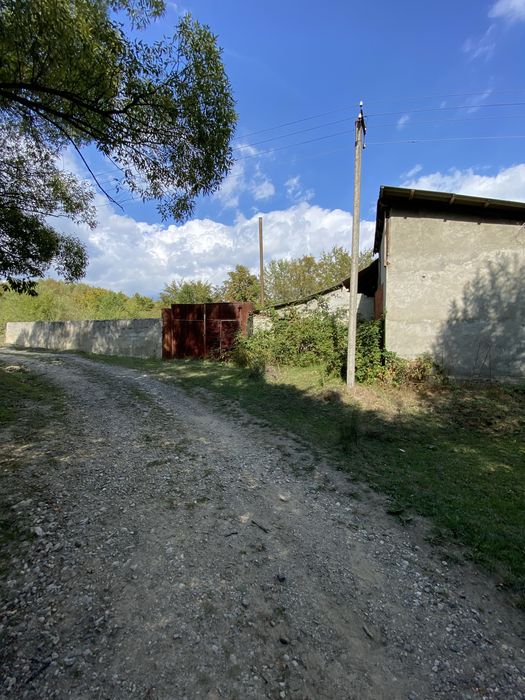 Ферма, корівник (колишній телятник)