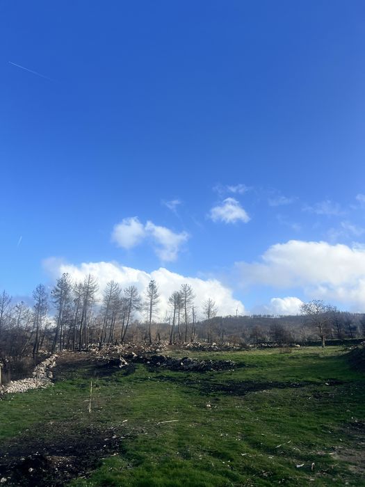 Vende-se terreno rustico ou troco