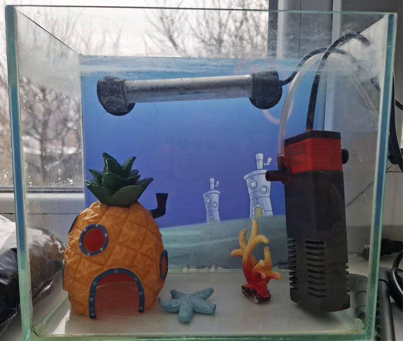 Акваріум в стилі Губки Боба