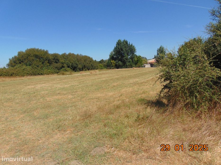 Terreno Rústico 5.000 m2 - Terrim - Pinhal Novo