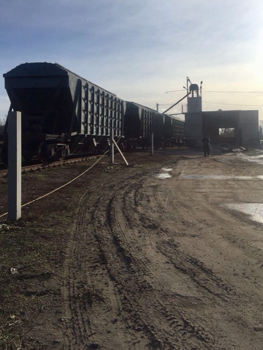 Перевалка зерновых в Харьковском районе Харьковской обл