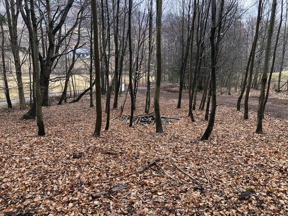 Działka budowlana Kamionki gmina Pieszyce, piękna i spokojna okolica, natura 2000 - Widok 4