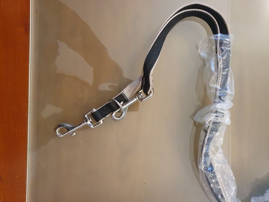 Trela para cão 20 mm x 200 cm ajustável