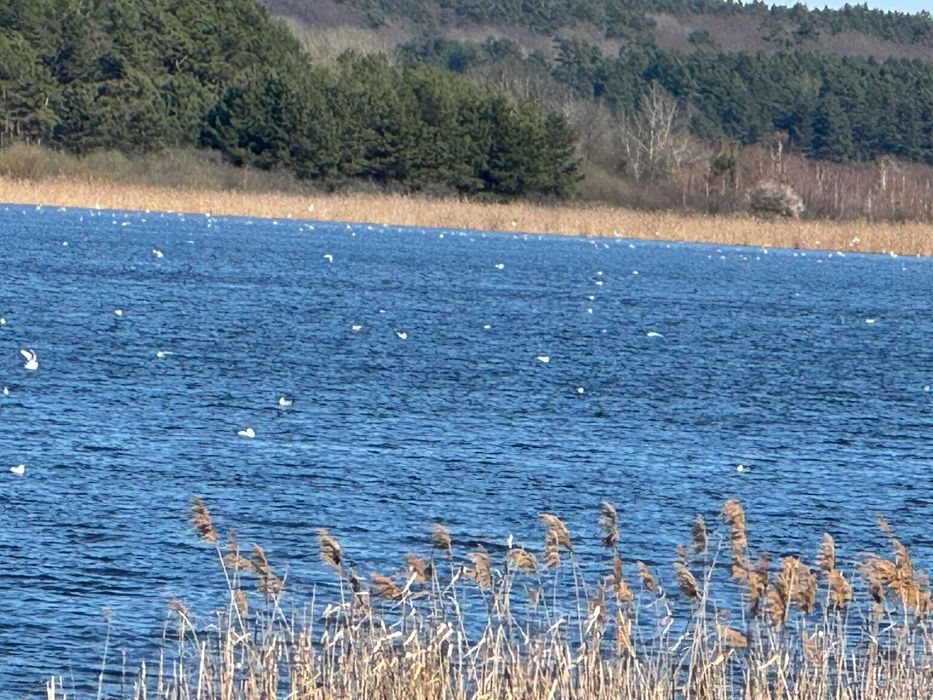земельна ділянка під будівництво
