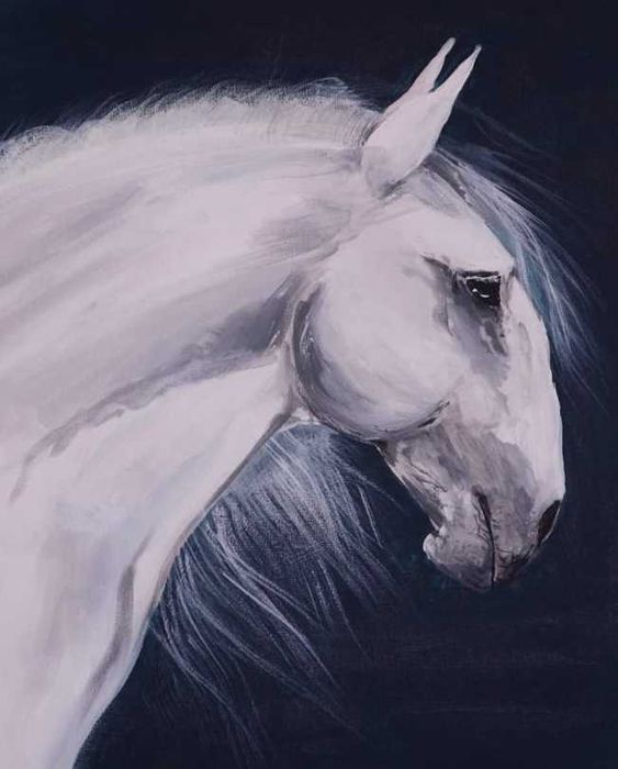 Retratos de animais de encomenda