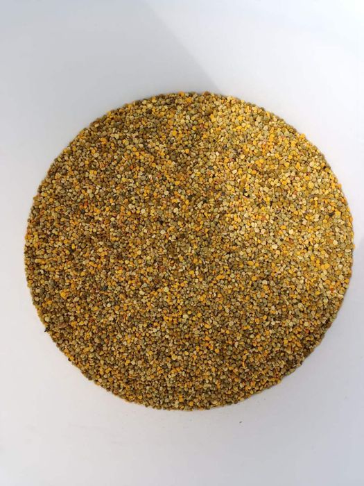 Бджолиний пилок, перга, прополіс, мед гречаний, трутневий гомогенат