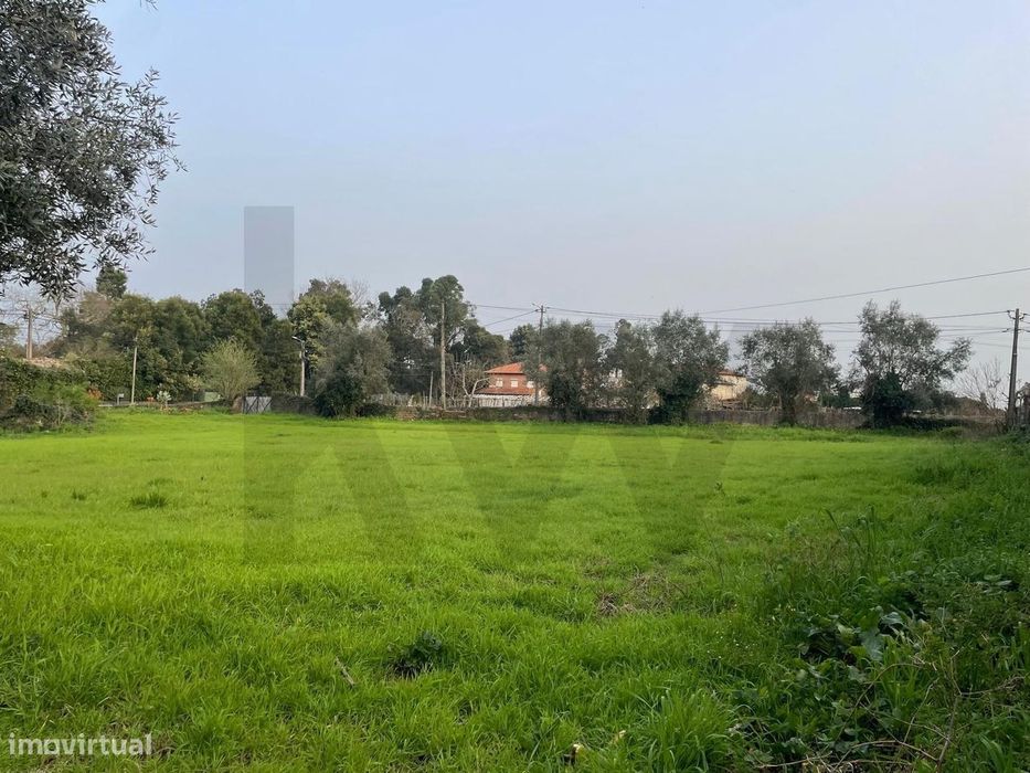 Terreno Plano Para Construção Em Recardães – 2.060 M2 Com Duas Fren — Águeda E Borralha, Aveiro