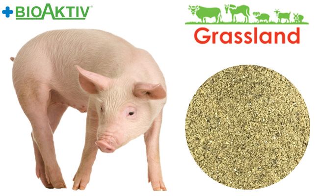 Концентрат БМВД Grassland для свиней "Стартовий" 25%