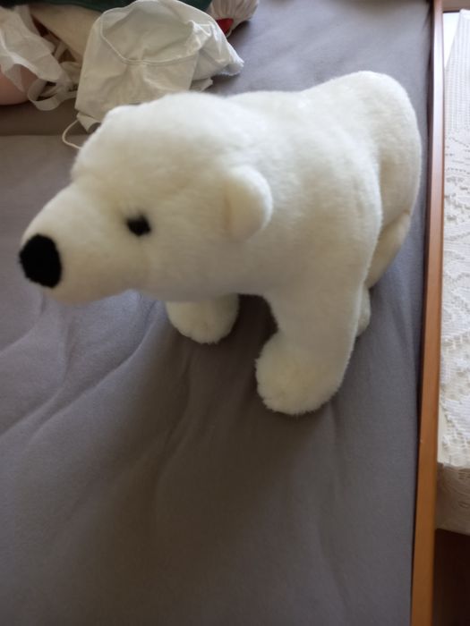 Biały miś polarny.