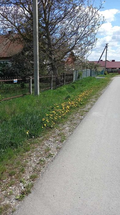 Земельна ділянка під забудову, с. Великі Гаї, Тернопільська обл.