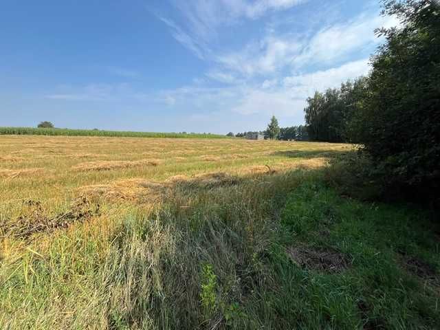 Działka 1,13 ha z domem i naturalnym stawem – zielona oaza blisko Kalisza - Widok 2