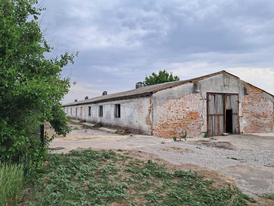 Комплекс птицефабрики/Солнечные батареи/Зернохранилище