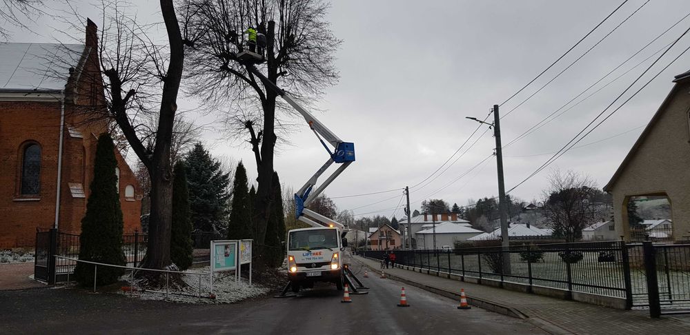 Wycinka drzew i krzewów, frezowanie pni, rębak, mulczer