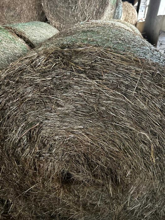 Sprzedam   siano