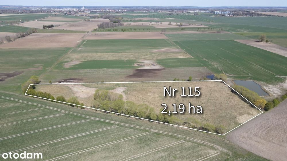 Działka rolna 2,19 ha pod Bartoszycami - Plęsy