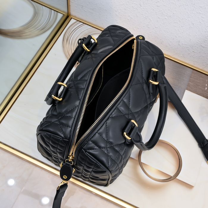 DIR Жіноча сумка Louis Vuitton