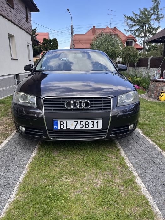 Audi A3 8P 2.0TDI