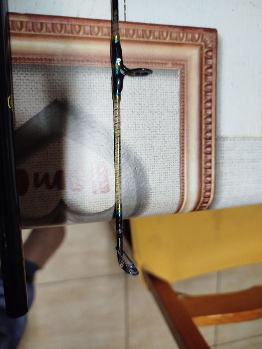 Cana de pesca ao barco