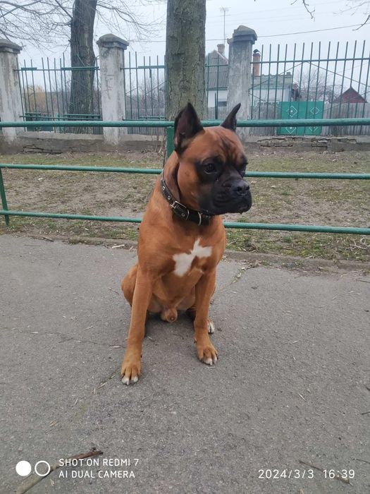 Запрошуємо на в'язку наречену)