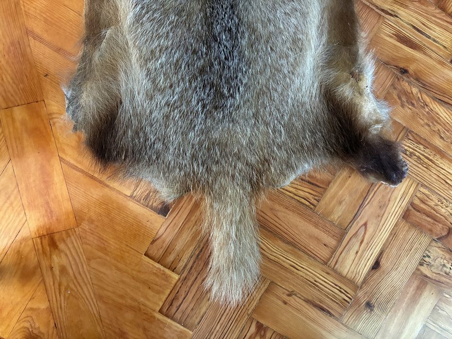 Pele de Texugo Verdadeiro