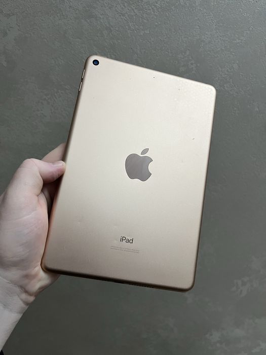 IPad Mini 5 Gold 256Gb
