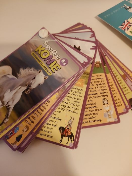 Zagadki Kapitan nauka, quiz i koniach, gry logiczne