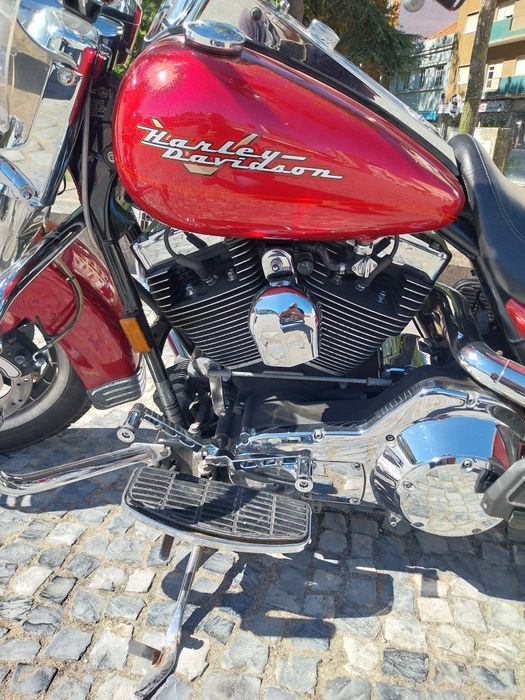 Road King vendo contrariado