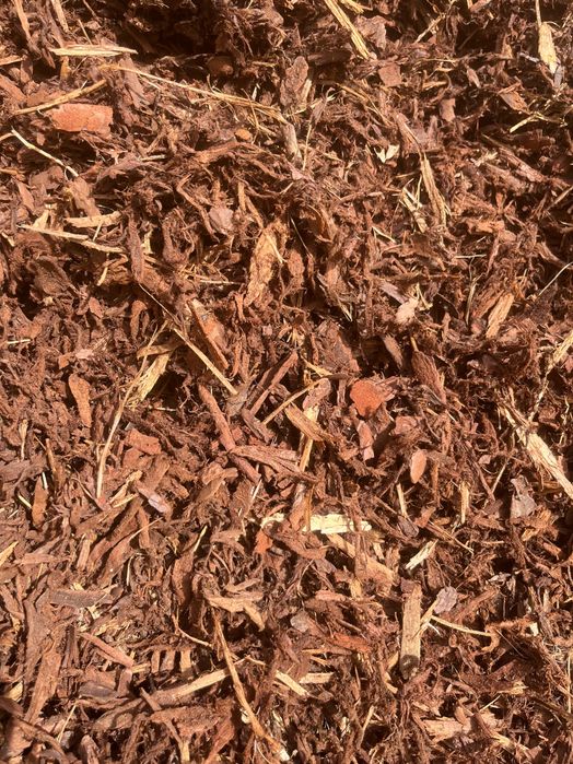 Pine Mulch Phloem