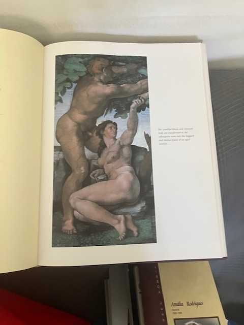 Livro Michel Angelo