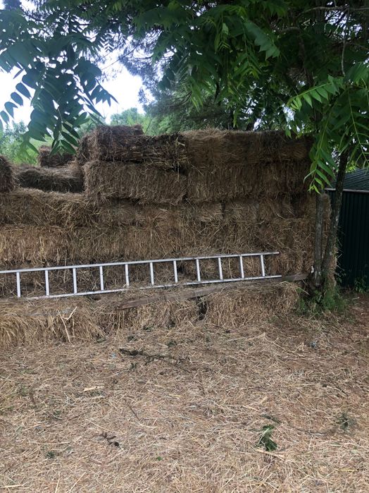 Fardos de Palha de Azevem