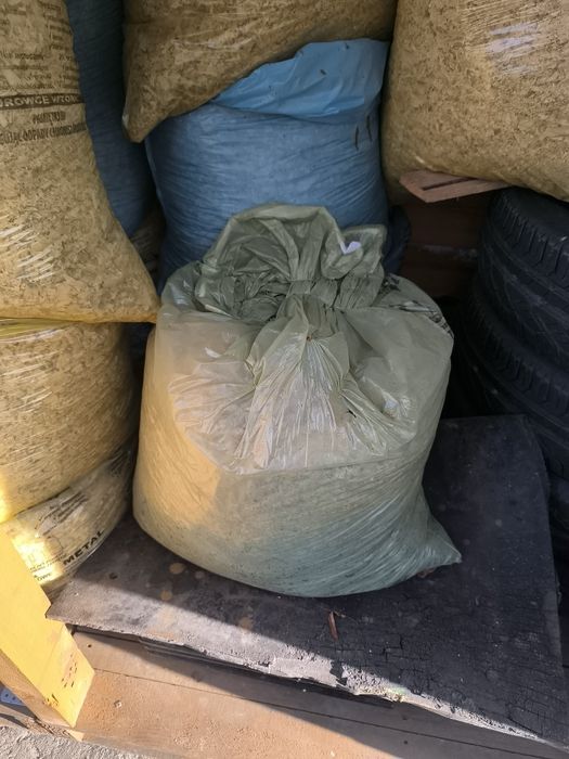 Trociny sosnowe, świetkowe