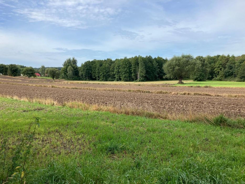 Działka 28 arów z warunkami zabudowy – Nielbark - Widok 2