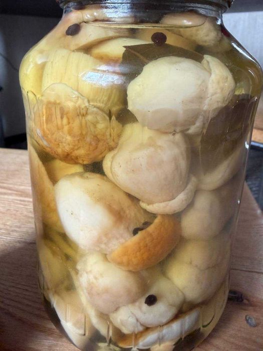 Гриби білі, опеньки, маслята мариновані