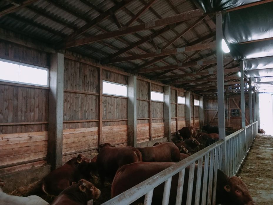 Sprzedam Chlewnię do rozbiórki