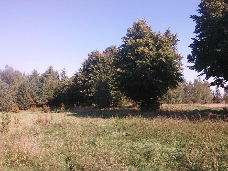 Piękna dzialka budowlana z mediami pod lasem.  Tałty k.Mikołajek - View 6