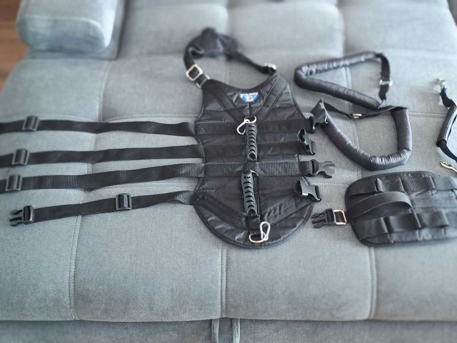 Szelki ortopedyczne dla psa Admiral