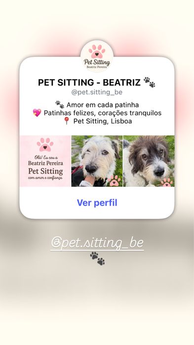 PetSitting, zona de Lisboa