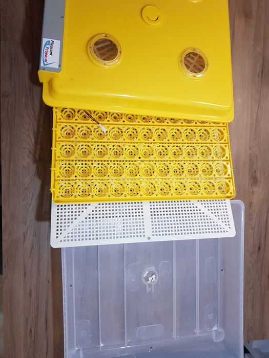 Chocadeira Incubadora Automática de 98 ovos