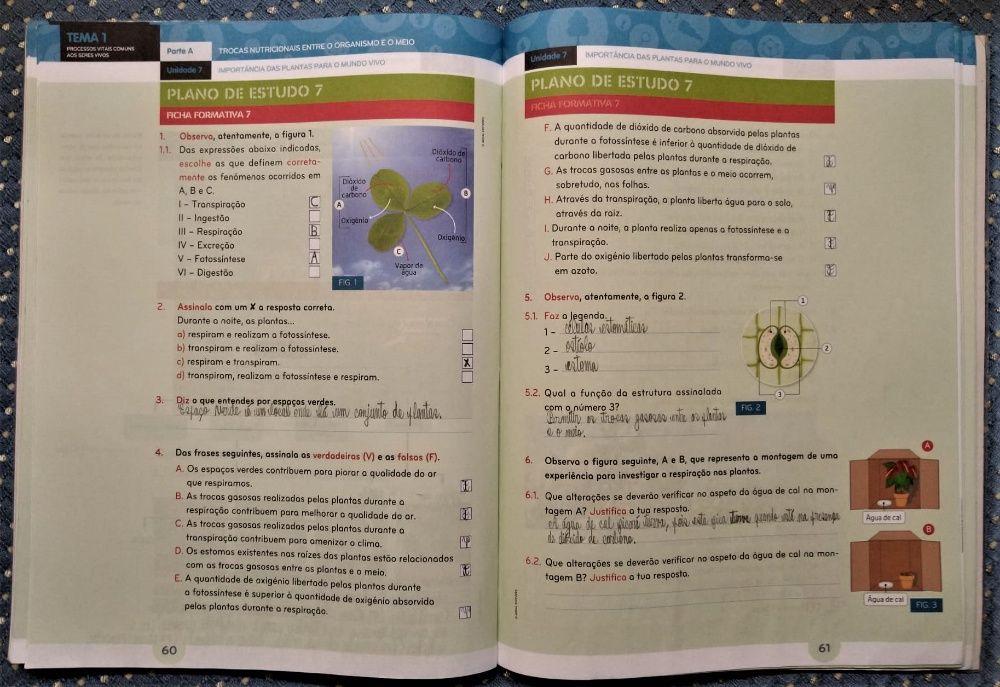 "Natura 6 Ciências da Natureza 6º Ano" Manual+Caderno Atividades+CDROM